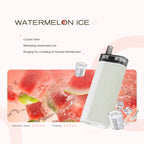 WONZ L1＆SF1 Bundle